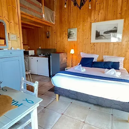 Maison A Cote De La Et Des Dunes, Avec Piscine